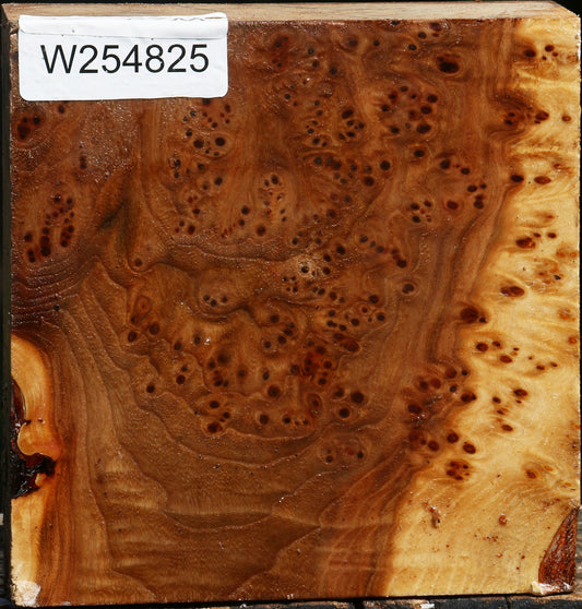 Elm Burl Bowl Blank