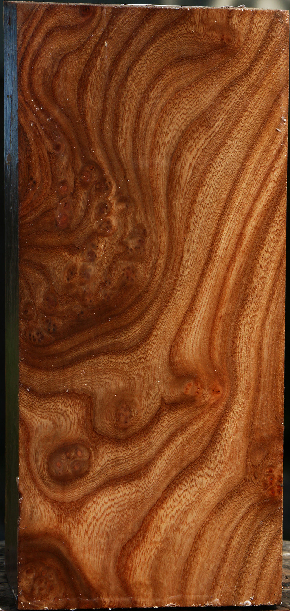 Elm Burl Vessel Blank