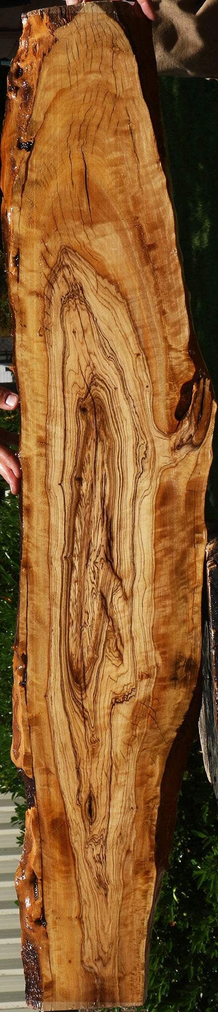 Extra Fancy African Olive Live Edge Lumber