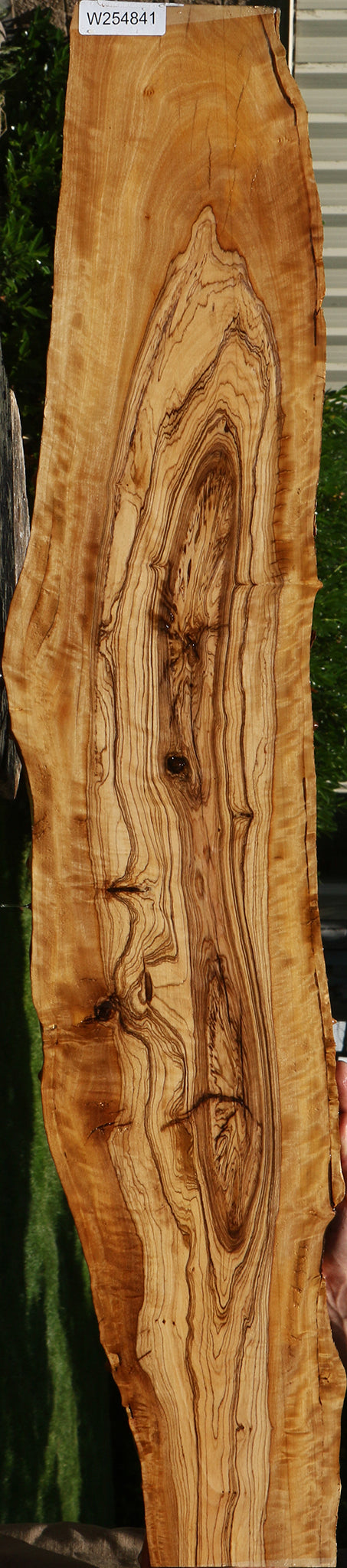 Extra Fancy African Olive Live Edge Lumber