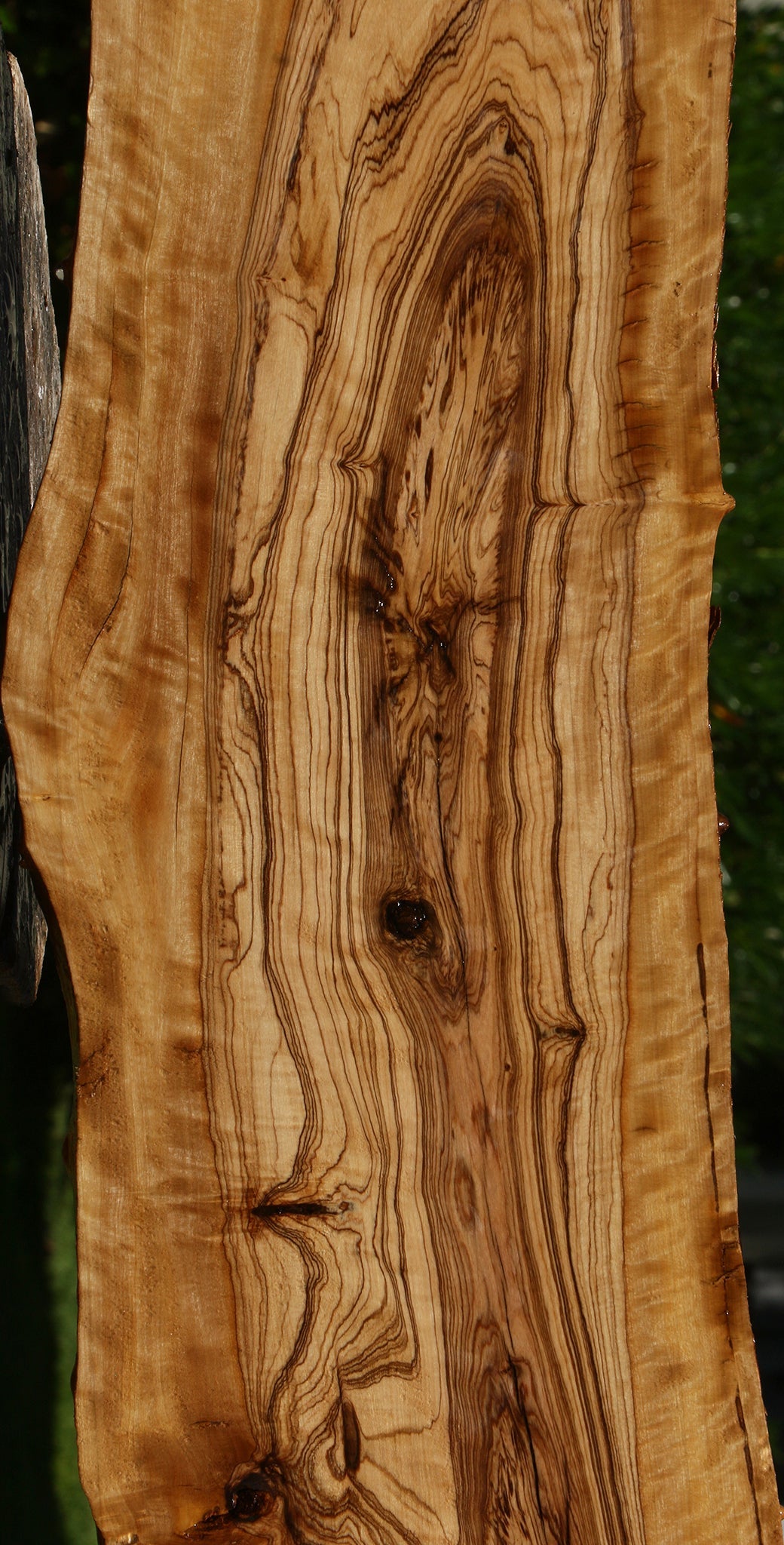 Extra Fancy African Olive Live Edge Lumber