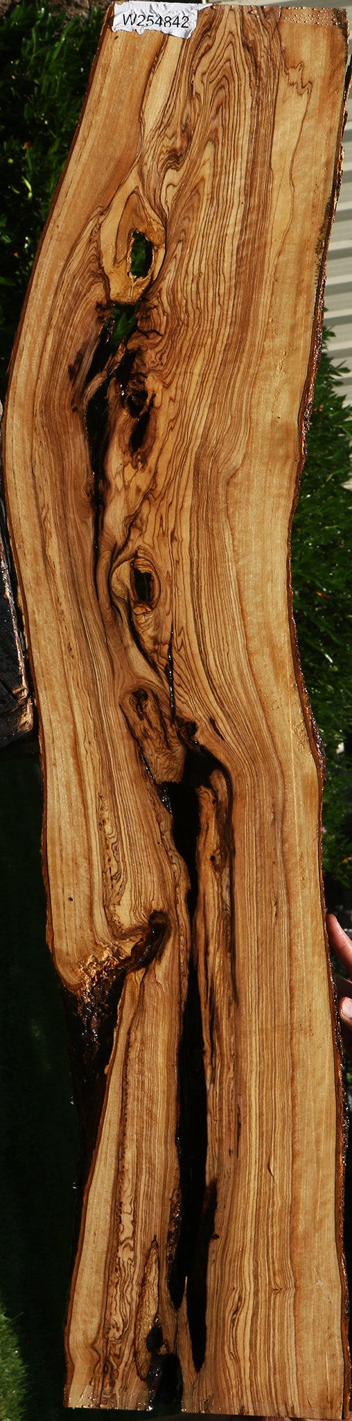 Figured Rustic African Olive Lumber