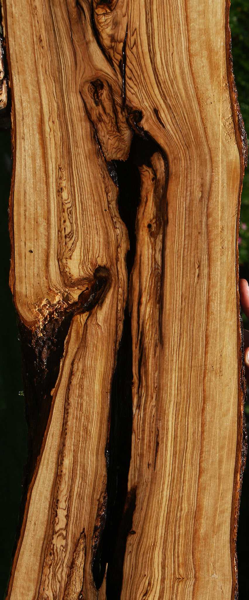Figured Rustic African Olive Lumber