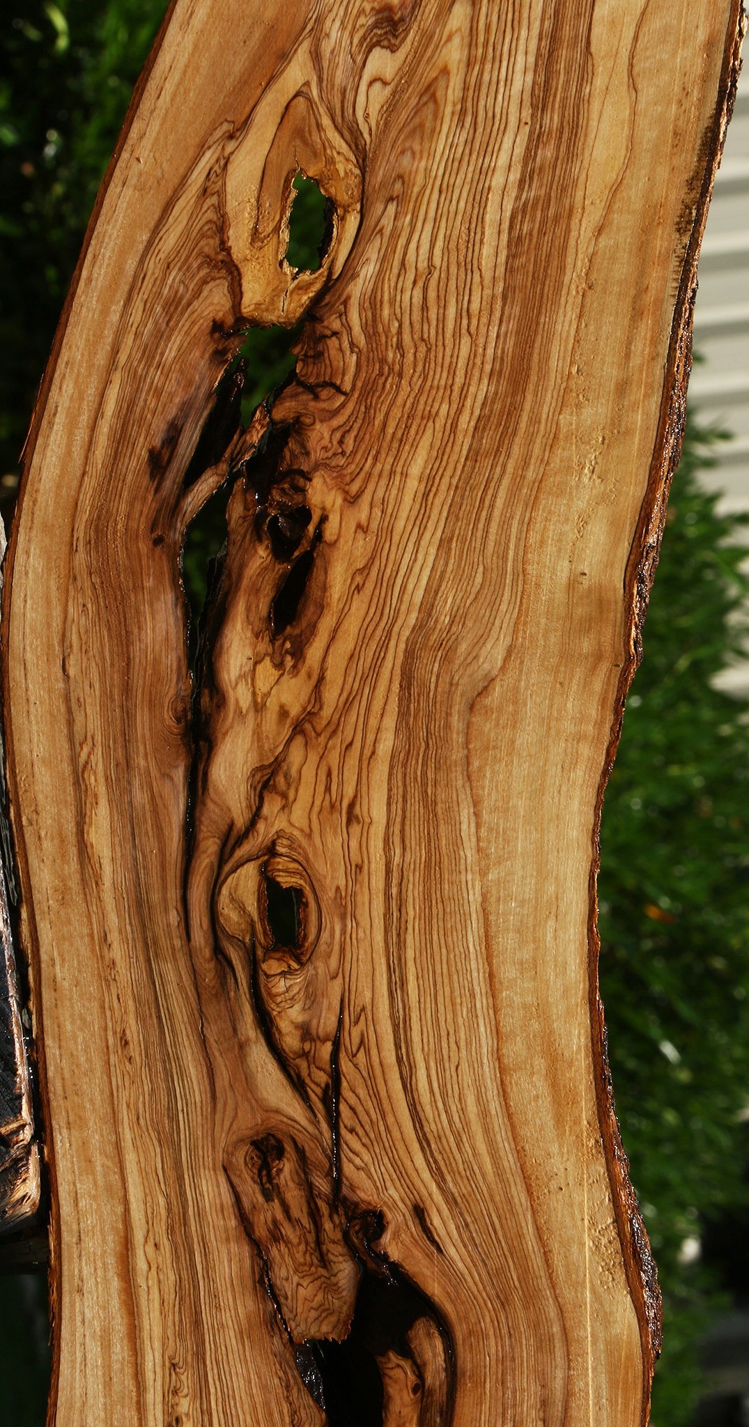 Figured Rustic African Olive Lumber