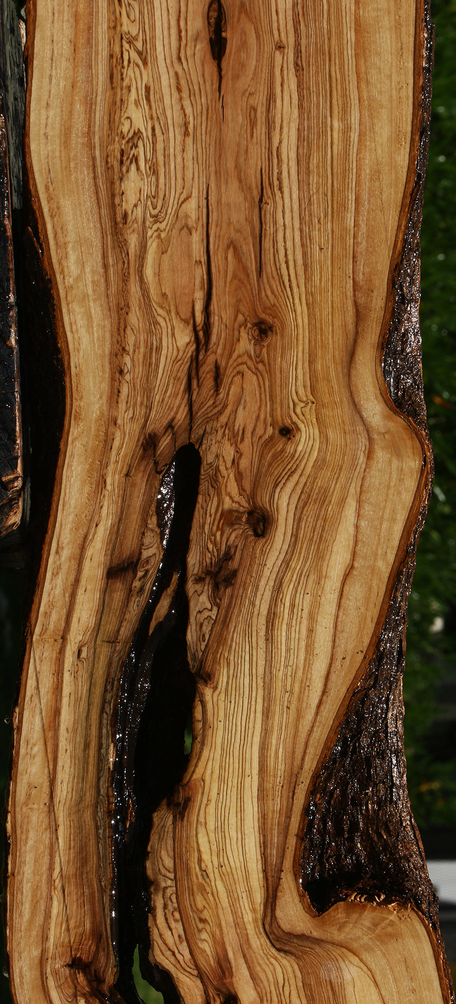 Figured Rustic African Olive Lumber