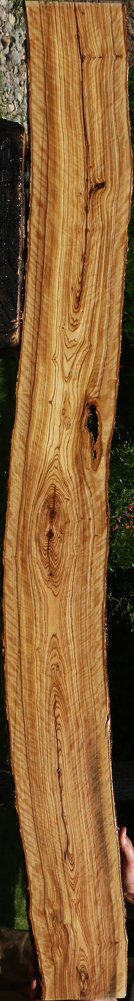 Extra Fancy African Olive Live Edge Lumber