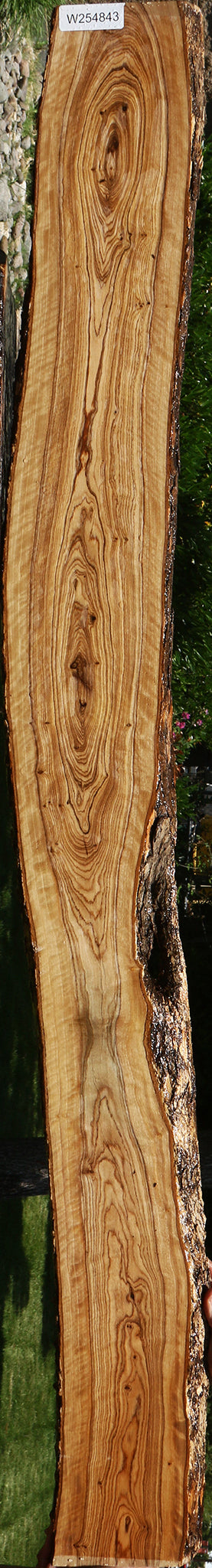 Extra Fancy African Olive Live Edge Lumber