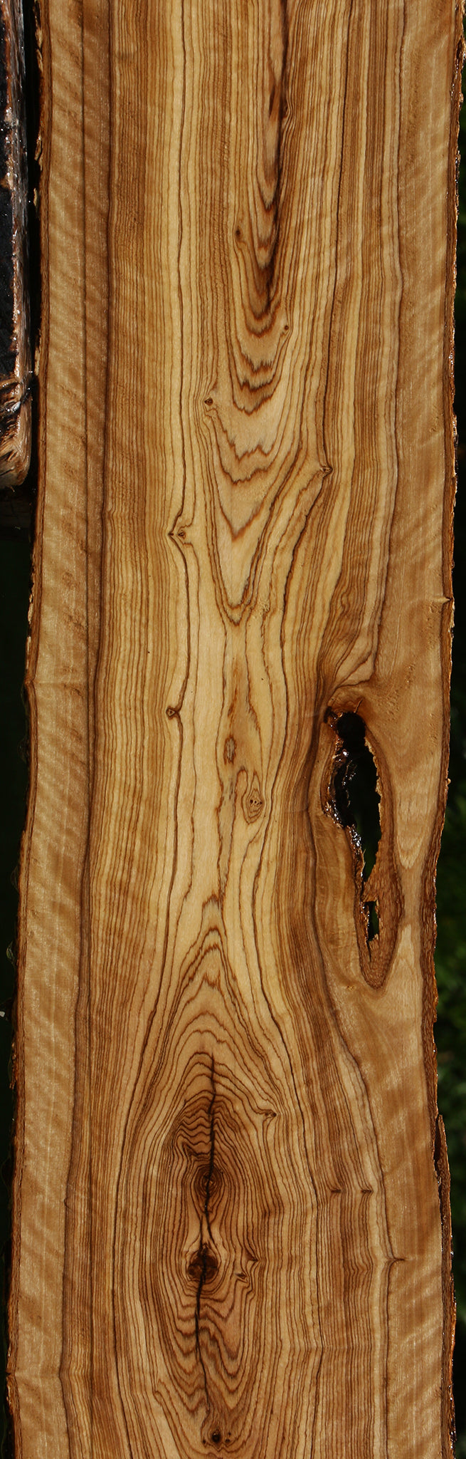 Extra Fancy African Olive Live Edge Lumber