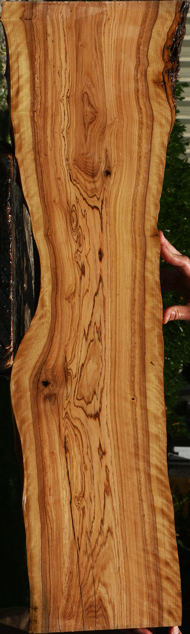 Figured African Olive Live Edge Lumber