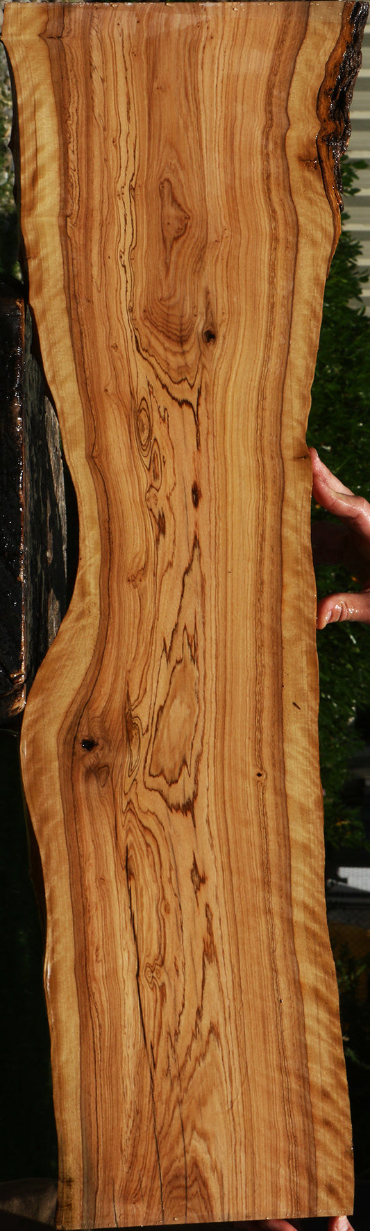 Figured African Olive Live Edge Lumber