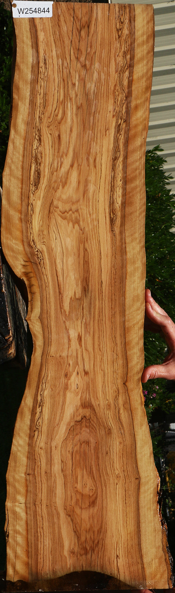 Figured African Olive Live Edge Lumber