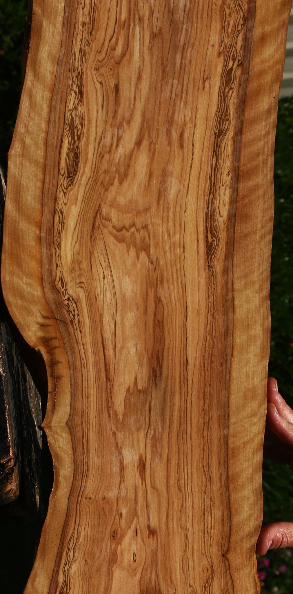 Figured African Olive Live Edge Lumber