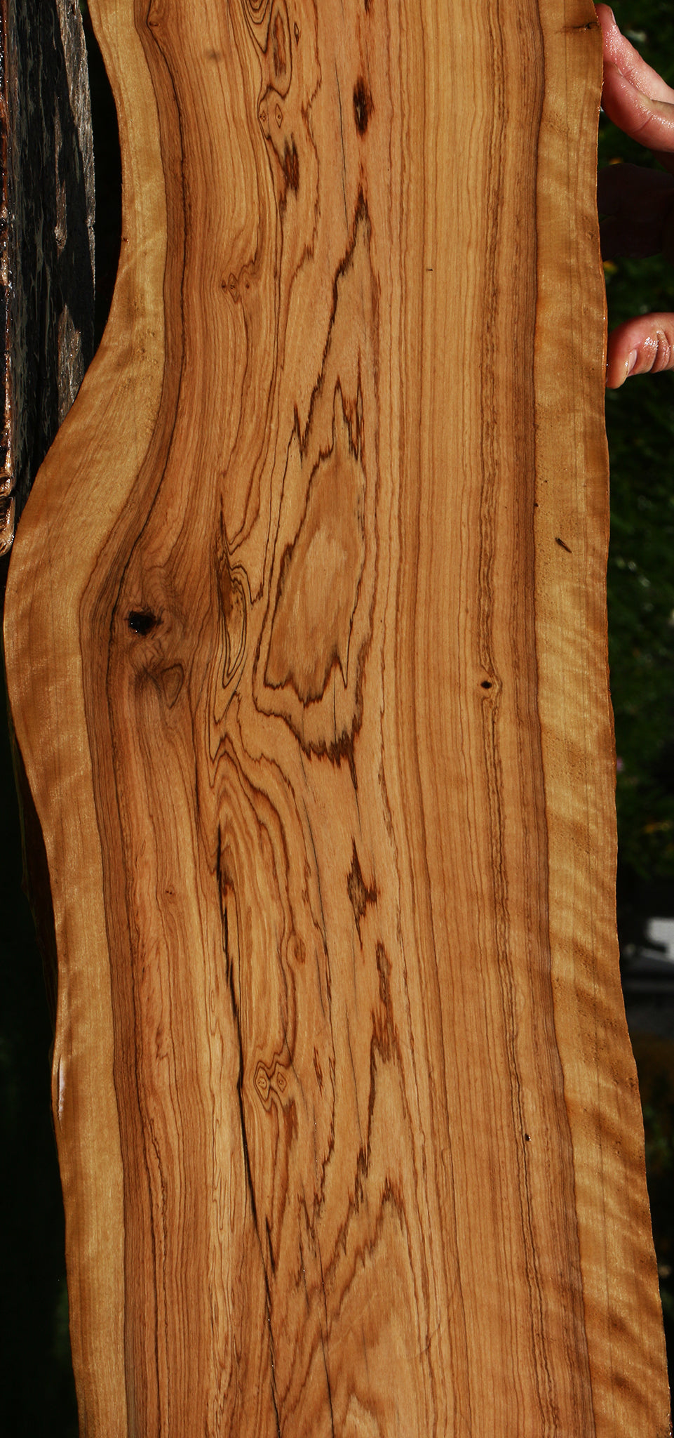 Figured African Olive Live Edge Lumber