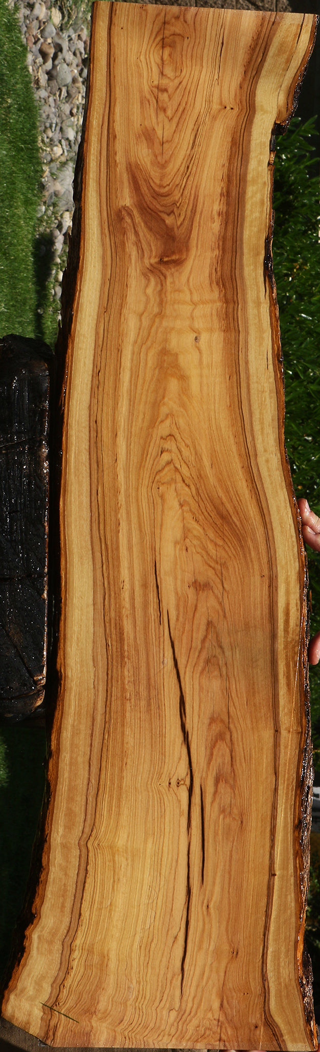 African Olive Live Edge Lumber