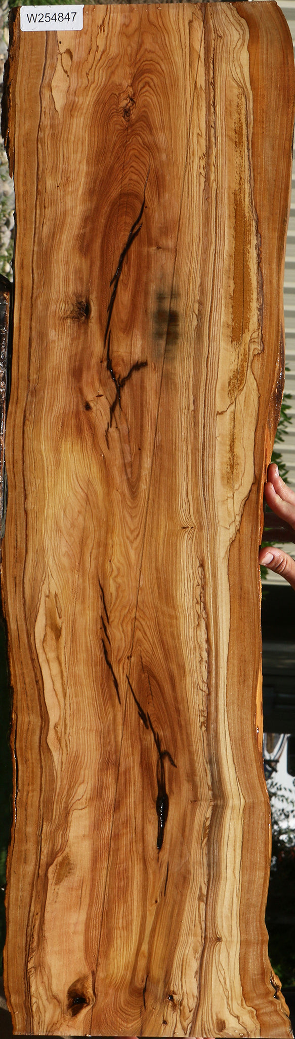 Figured African Olive Live Edge Lumber