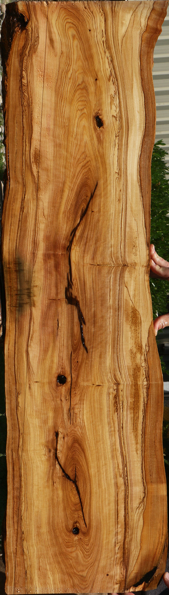 Figured African Olive Live Edge Lumber