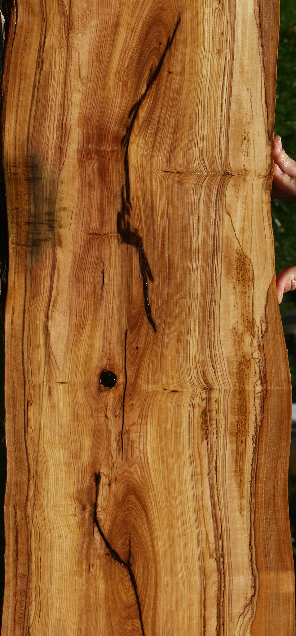 Figured African Olive Live Edge Lumber