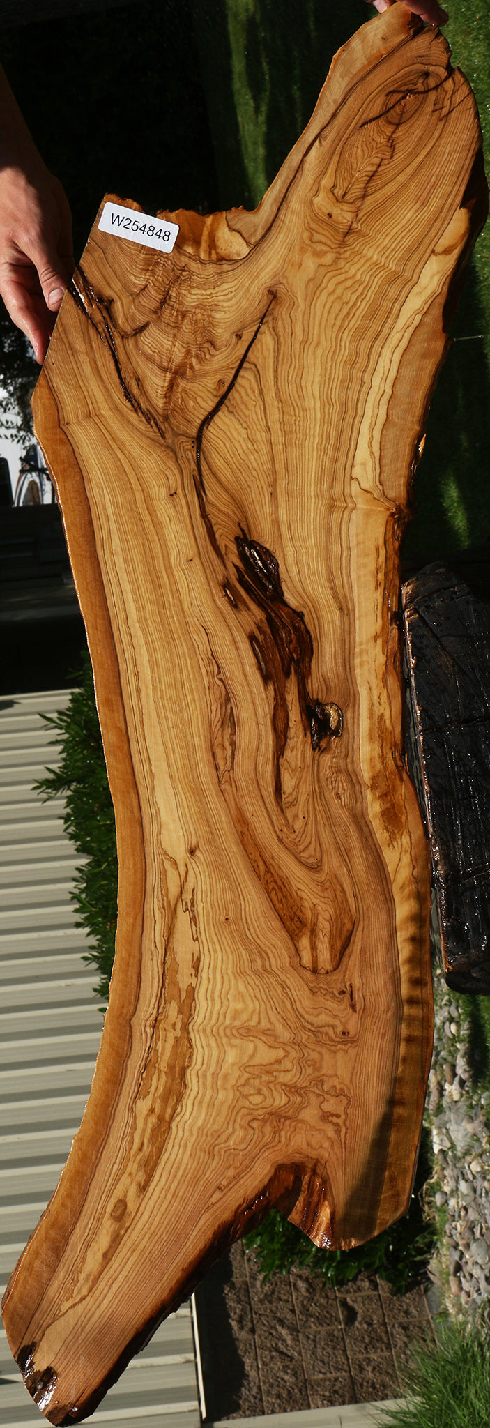 Extra Fancy African Olive Live Edge Lumber