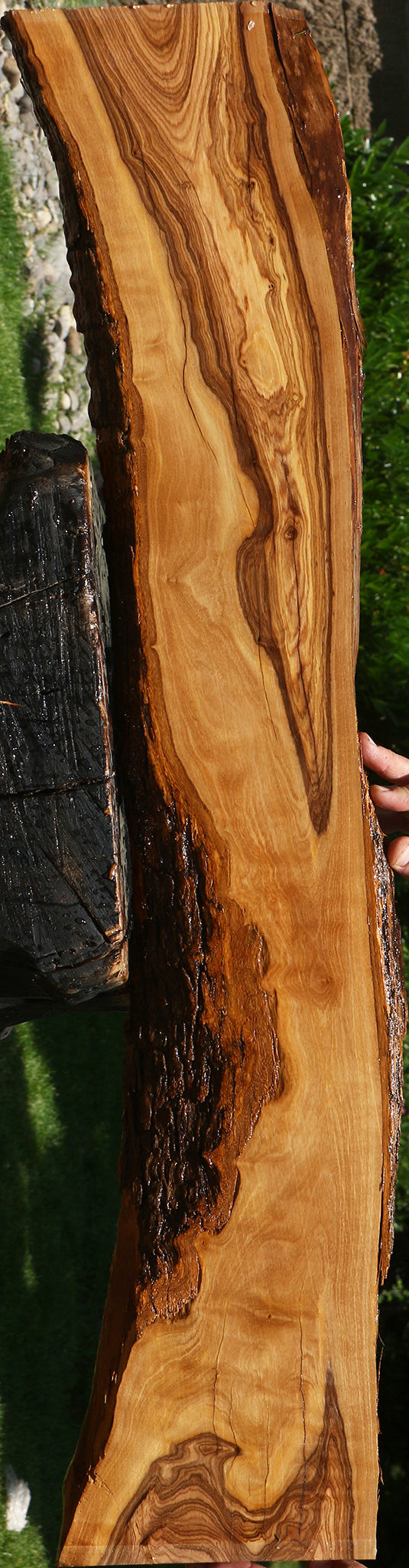 Figured African Olive Live Edge Lumber