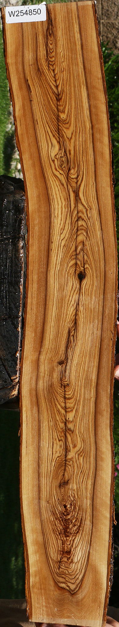 African Olive Live Edge Lumber