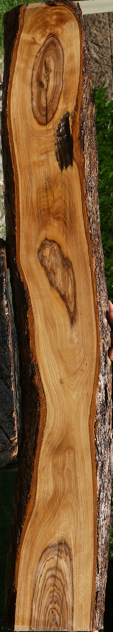 African Olive Live Edge Lumber