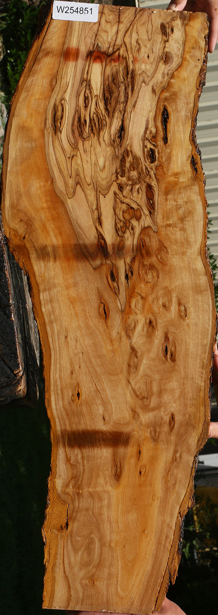Extra Fancy African Olive Live Edge Lumber