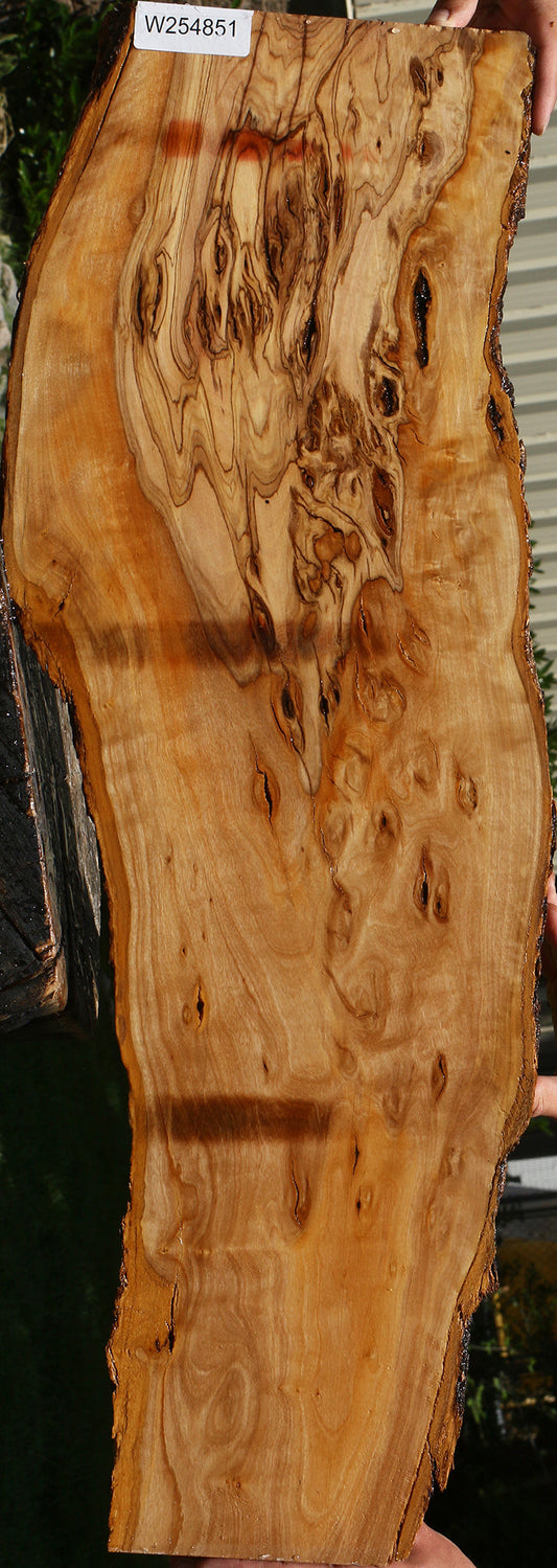 Extra Fancy African Olive Live Edge Lumber