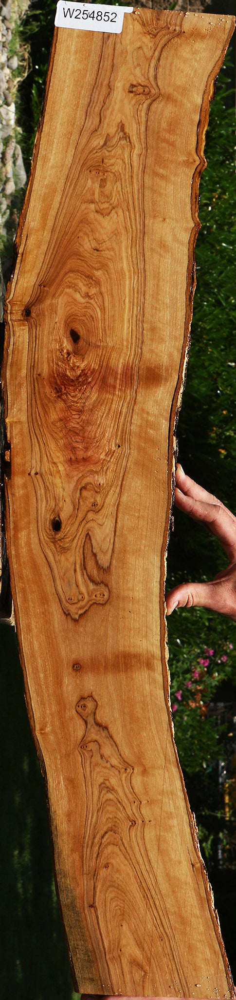 African Olive Live Edge Lumber