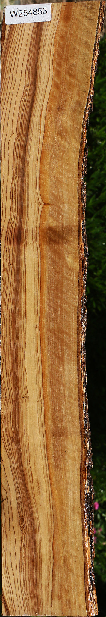 Extra Fancy African Olive Live Edge Lumber