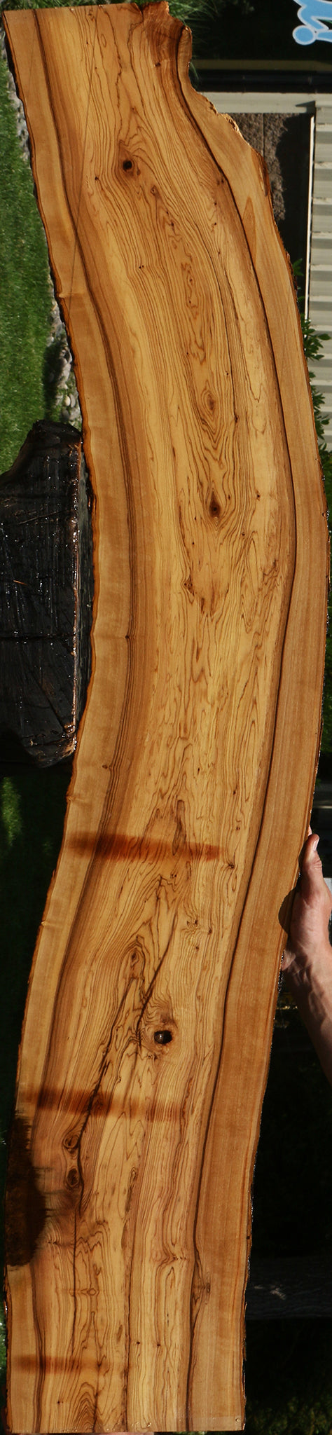 African Olive Live Edge Lumber