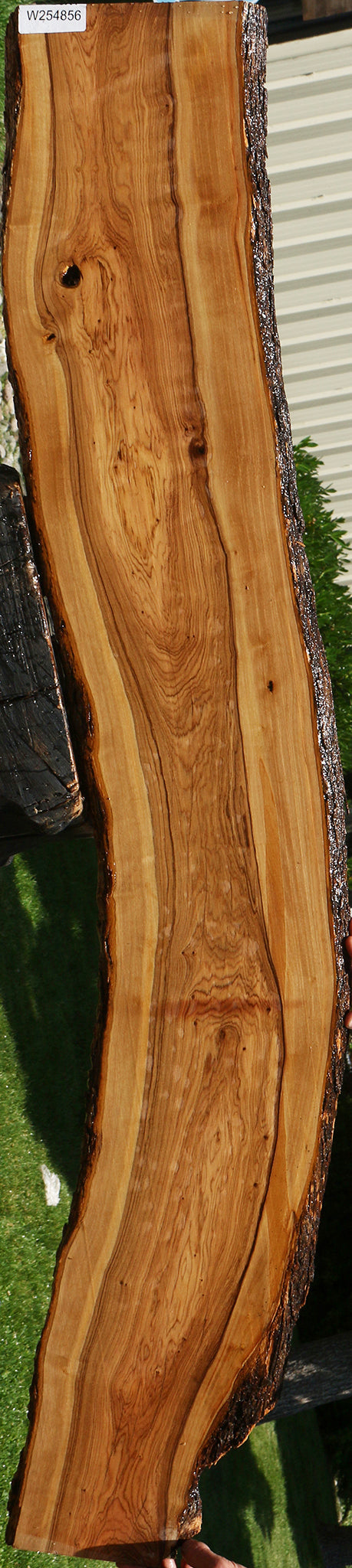 African Olive Live Edge Lumber