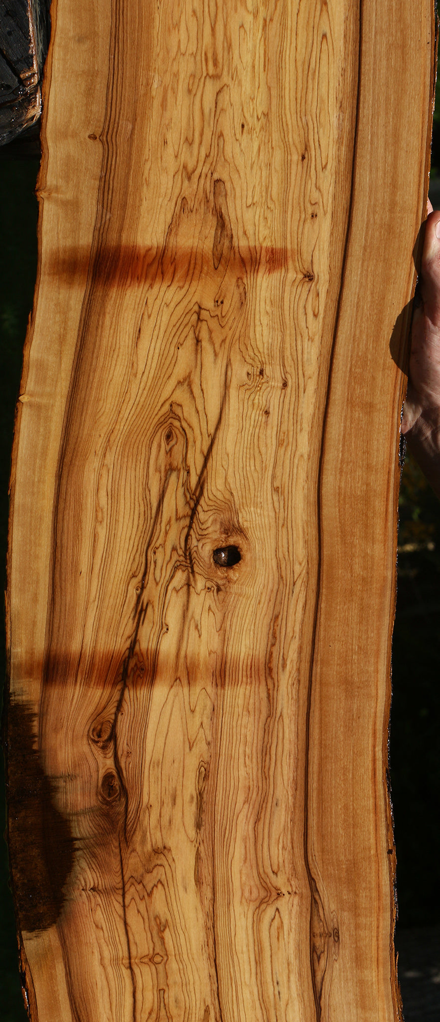 African Olive Live Edge Lumber