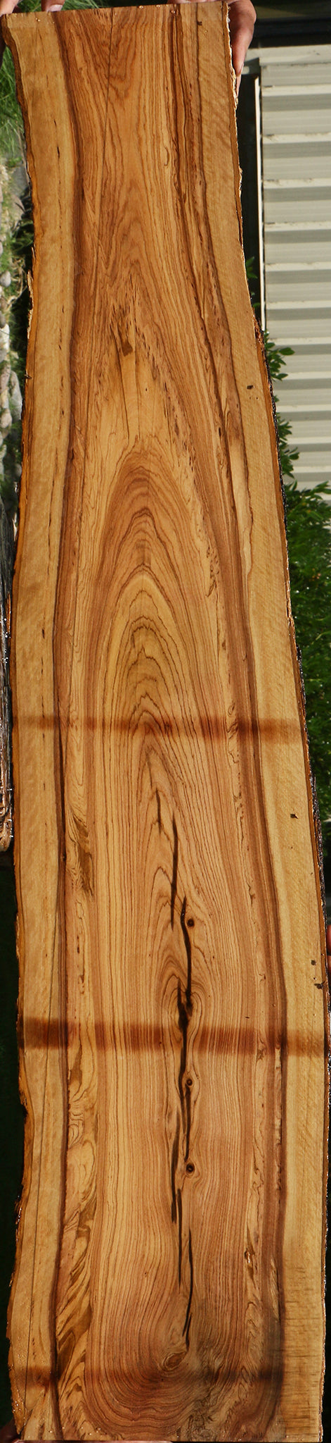 African Olive Live Edge Lumber