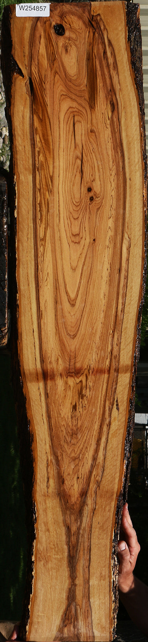 African Olive Live Edge Lumber