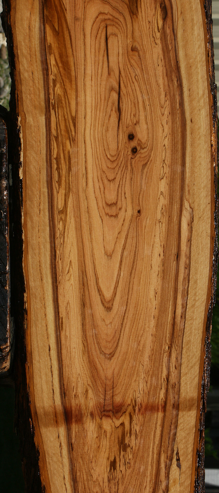 African Olive Live Edge Lumber