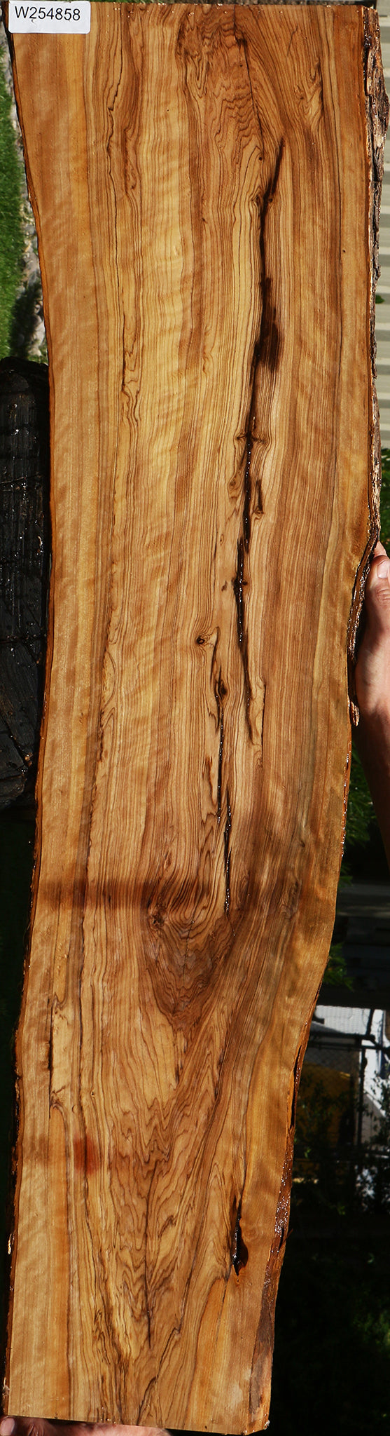 Extra Fancy African Olive Live Edge Lumber