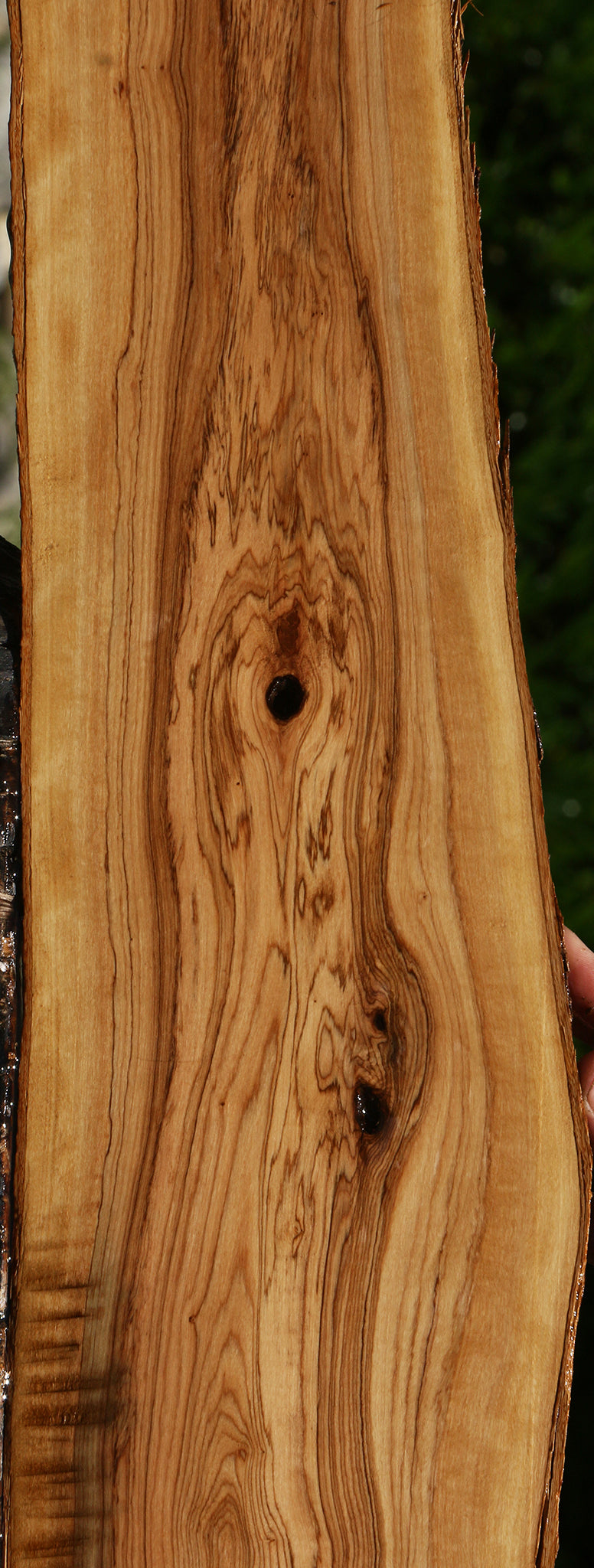 African Olive Live Edge Lumber