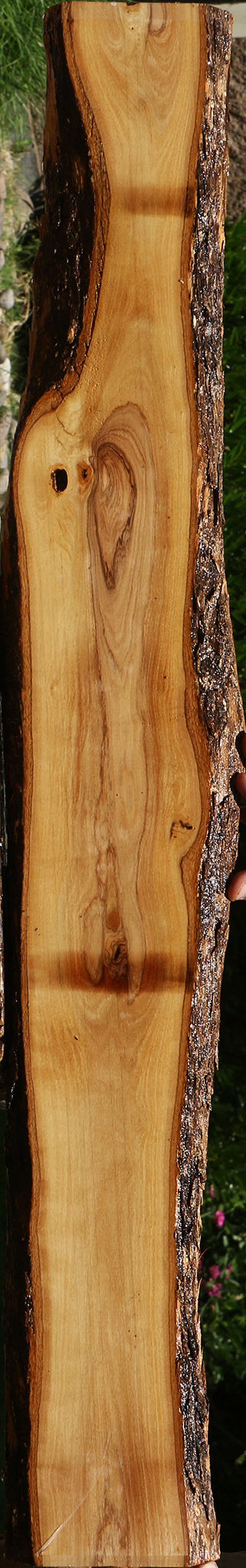 African Olive Live Edge Lumber