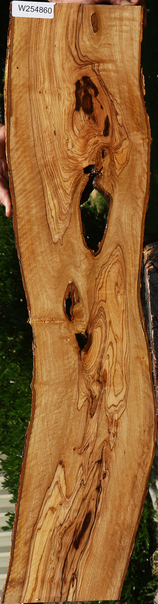 Extra Fancy African Olive Live Edge Lumber