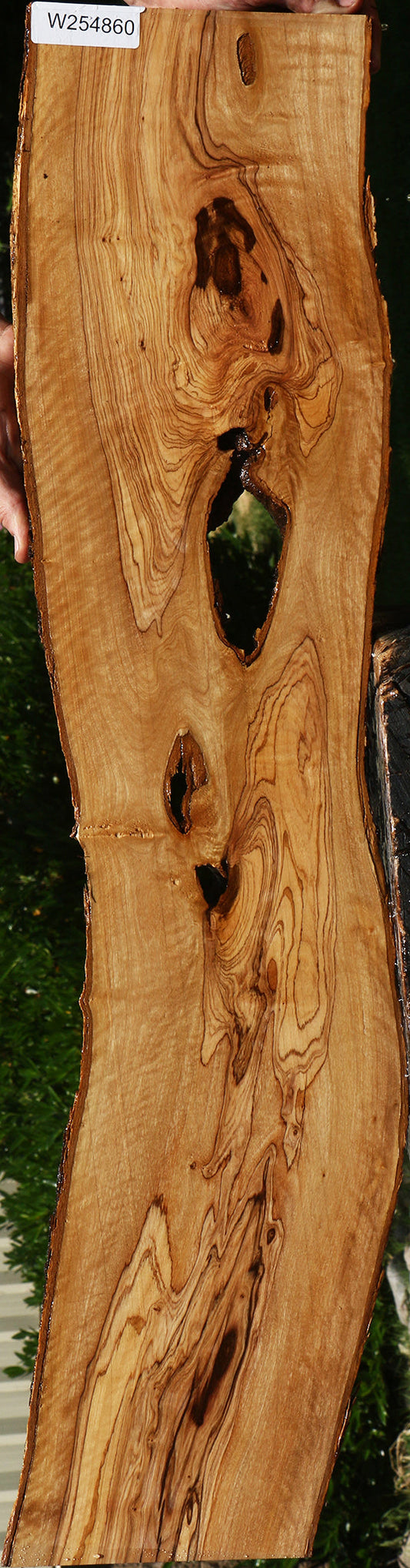 Extra Fancy African Olive Live Edge Lumber
