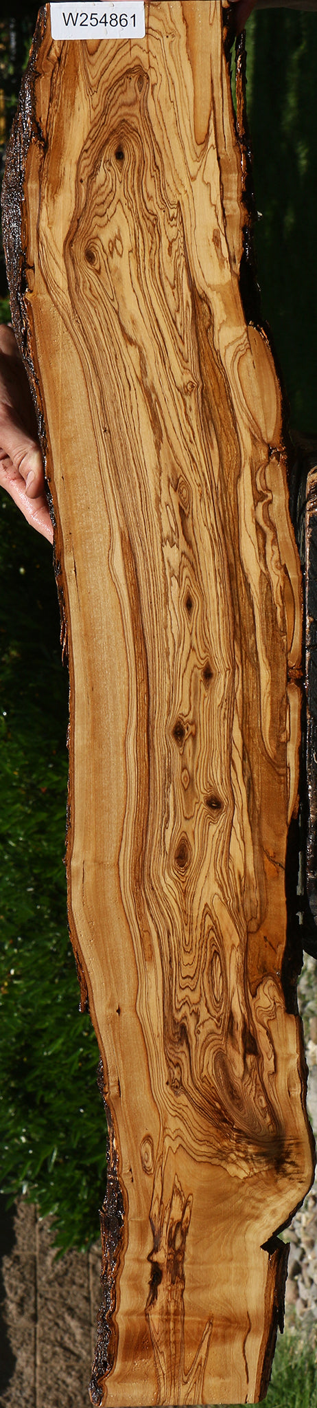 Figured Rustic African Olive Live Edge Lumber