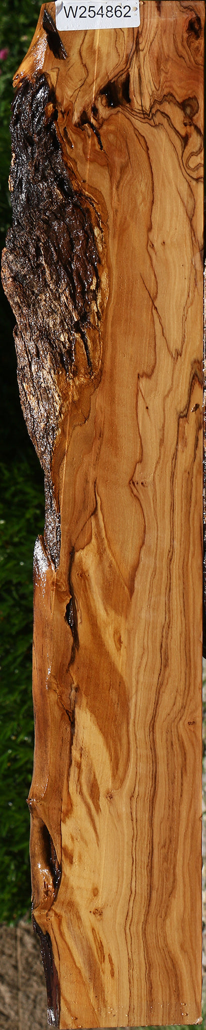 Figured African Olive Live Edge Lumber