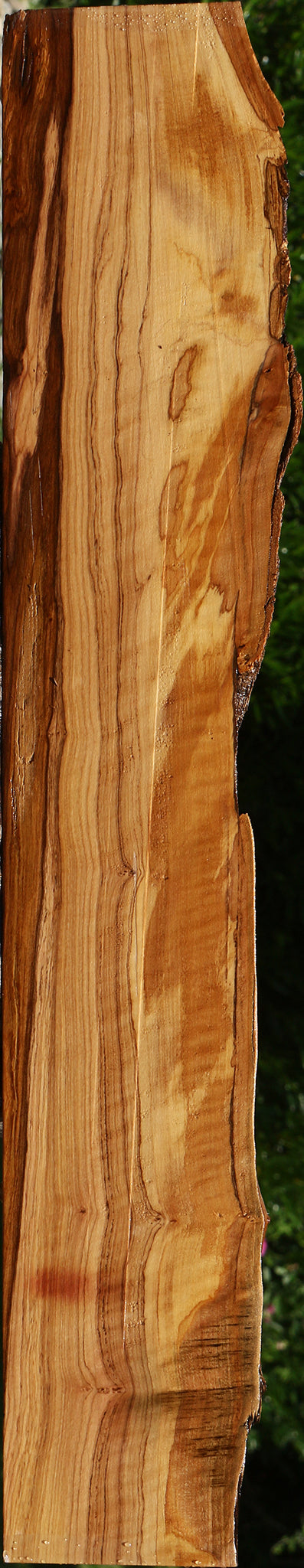 Figured African Olive Live Edge Lumber