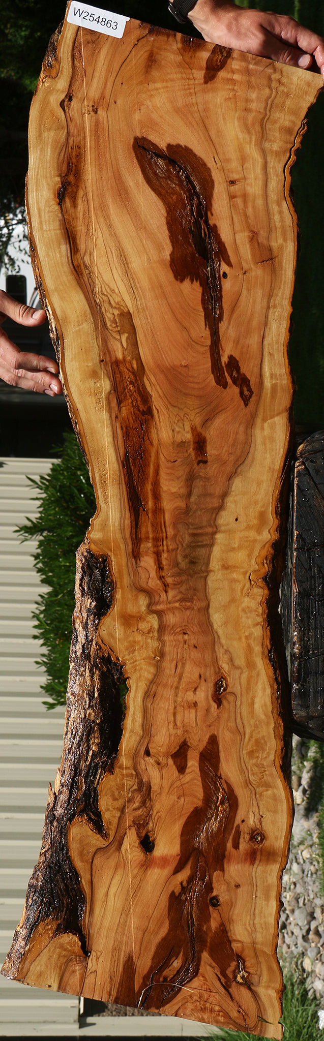 Extra Fancy Rustic African Olive Live Edge Lumber