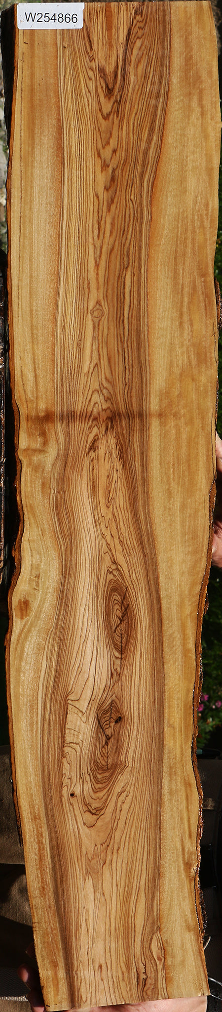 Figured African Olive Live Edge Lumber