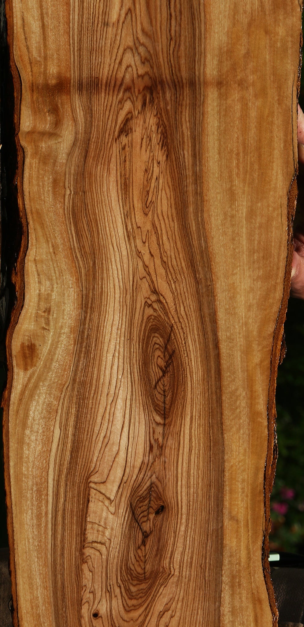 Figured African Olive Live Edge Lumber