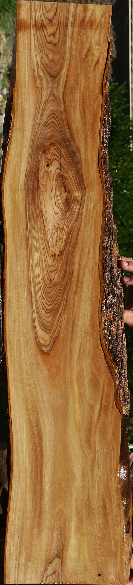 Figured African Olive Live Edge Lumber