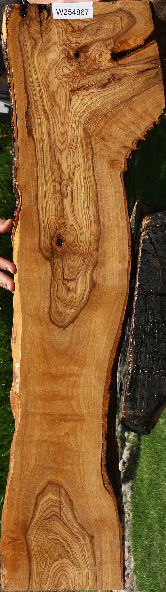 Extra Fancy Rustic African Olive Lumber