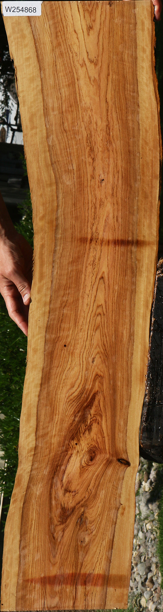 Figured African Olive Live Edge Lumber