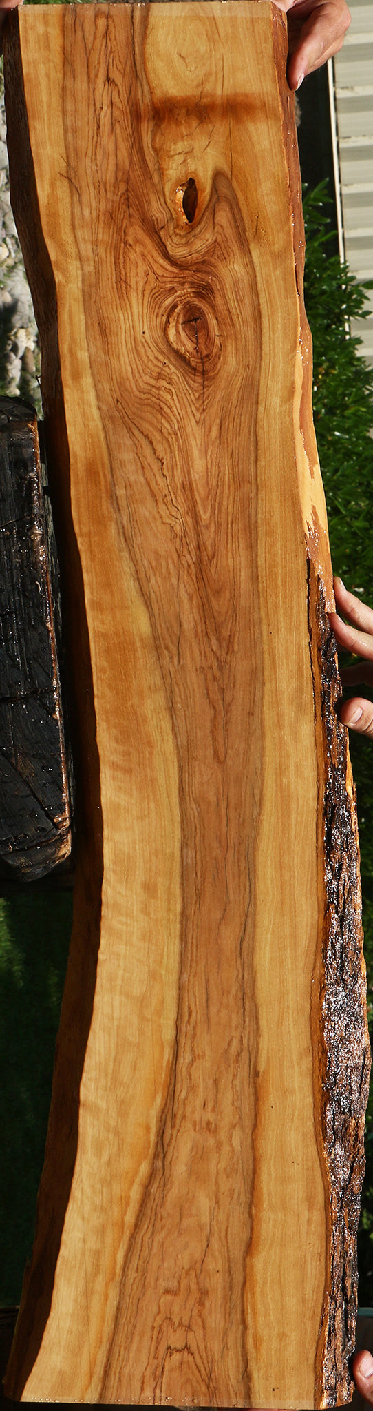 Figured African Olive Live Edge Lumber